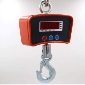 200kg mini crane scale