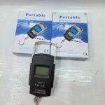 Portable scale