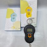 Portable scale