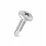 Truss head self drilling screw-1 inch